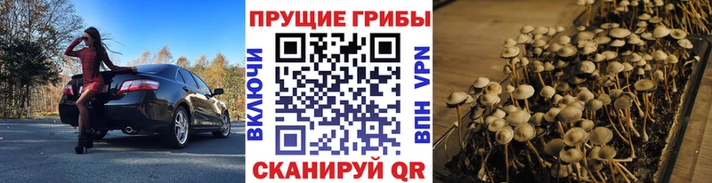 Галлюциногенные грибы ЛСД  Лагань 